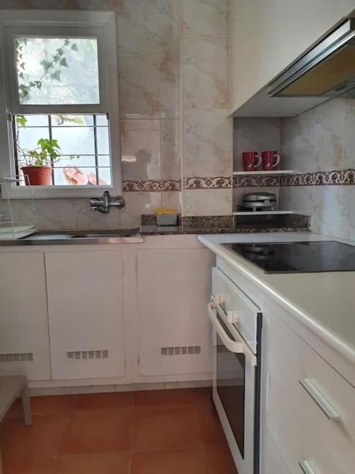 Apartamento Luminoso Con Patio Y Jardin بويرتو ذي لا كروز المظهر الخارجي الصورة