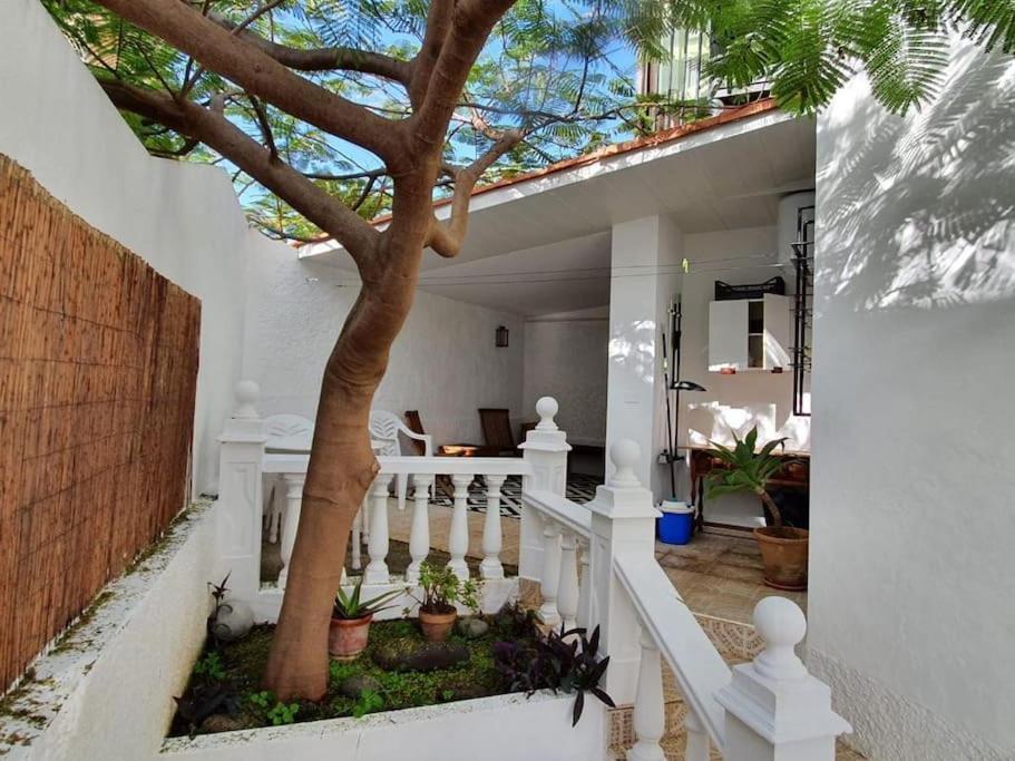 Apartamento Luminoso Con Patio Y Jardin بويرتو ذي لا كروز المظهر الخارجي الصورة
