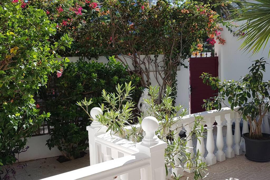Apartamento Luminoso Con Patio Y Jardin بويرتو ذي لا كروز المظهر الخارجي الصورة