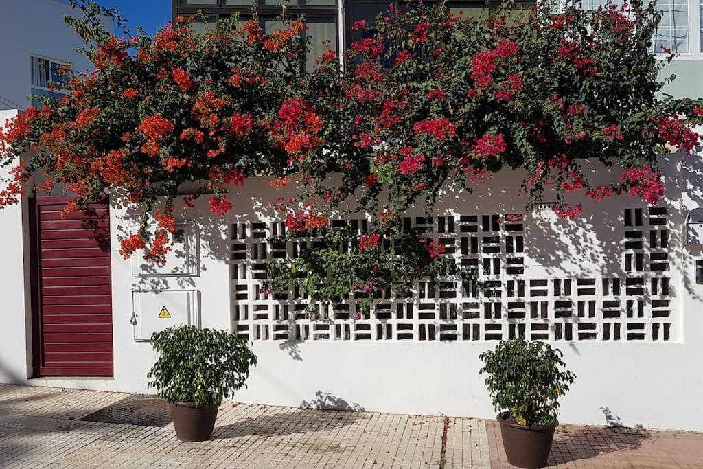 Apartamento Luminoso Con Patio Y Jardin بويرتو ذي لا كروز المظهر الخارجي الصورة